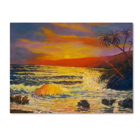 Manor Shadian 'Maui Sunset' Canvas Art,14x19